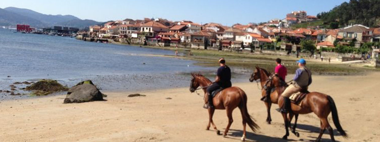 Camino de Santiago a Caballo 2