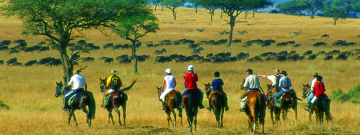 Masai Mara a Caballo - Equitours 8
